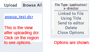 DCR upload process